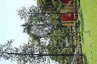 IMG_0106